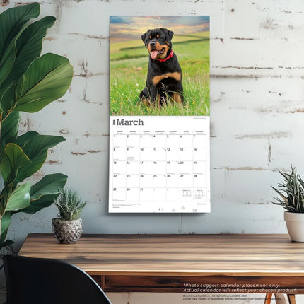 Browntrout Rottweiler Kalender 2026