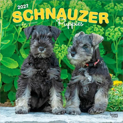 Browntrout Schnauzer Puppies Kalender 2027