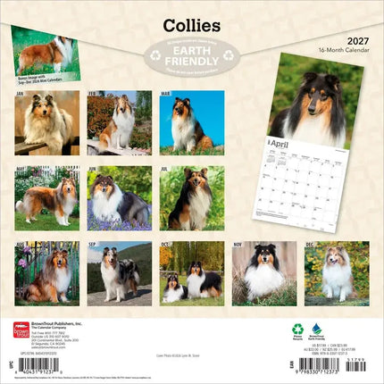 Browntrout Schotse Herder / Collie Kalender 2027