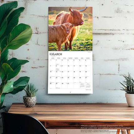 Browntrout Schotse Hooglander Kalender 2027