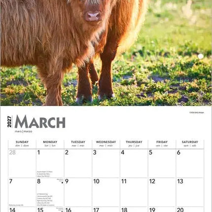 Browntrout Schotse Hooglander Kalender 2027