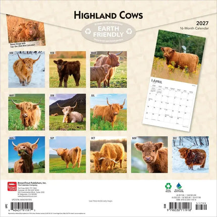 Browntrout Schotse Hooglander Kalender 2027