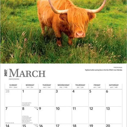 Browntrout Scotland - Schotland Kalender 2027