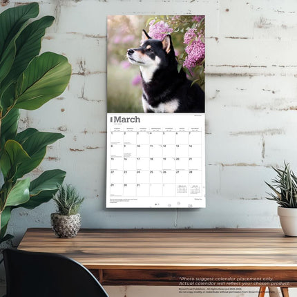 Browntrout Shiba Inu Kalender 2026