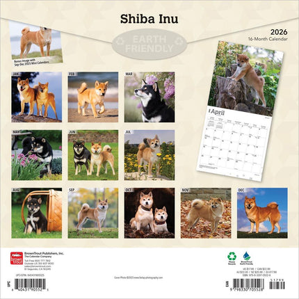 Browntrout Shiba Inu Kalender 2026