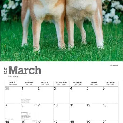 Browntrout Shiba Inu Kalender 2027