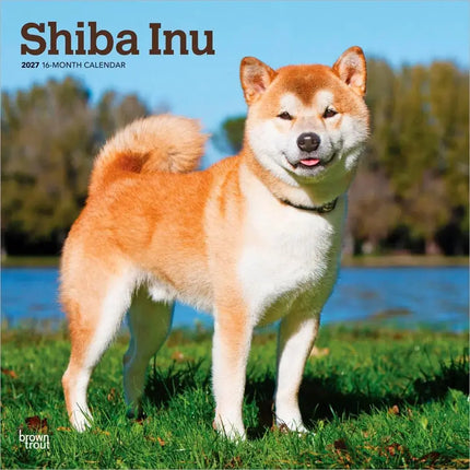 Browntrout Shiba Inu Kalender 2027