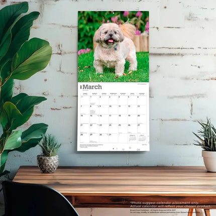 Browntrout Shih Tzu Kalender 2027