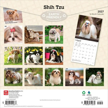 Browntrout Shih Tzu Kalender 2027