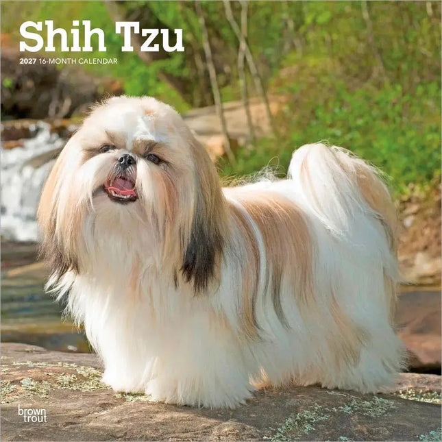 Browntrout Shih Tzu Kalender 2027