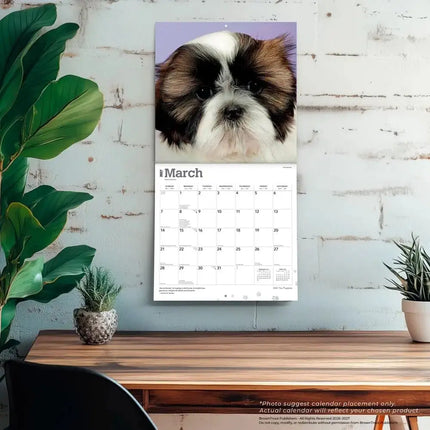 Browntrout Shih Tzu Puppies Kalender 2027