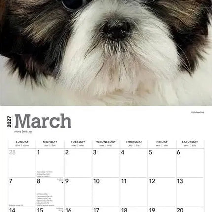 Browntrout Shih Tzu Puppies Kalender 2027