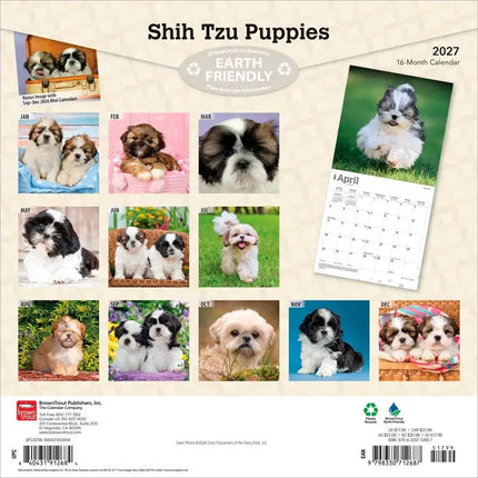 Browntrout Shih Tzu Puppies Kalender 2027