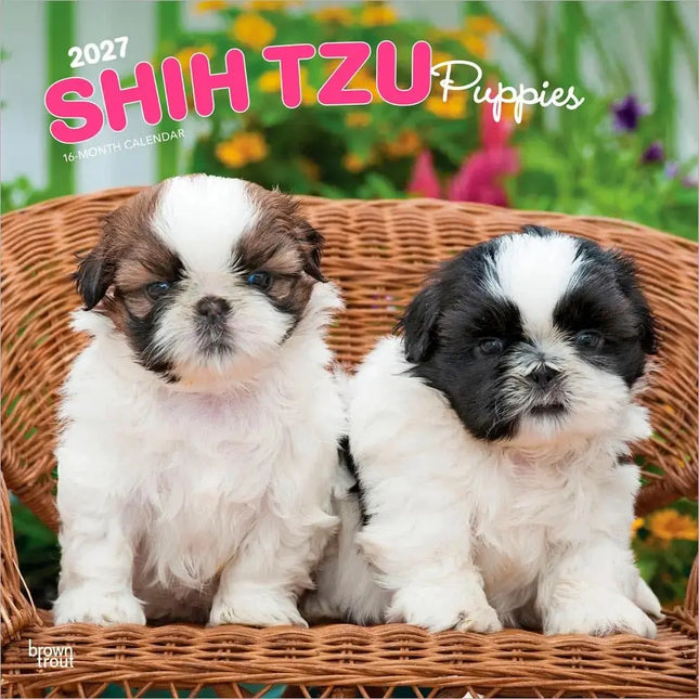 Browntrout Shih Tzu Puppies Kalender 2027