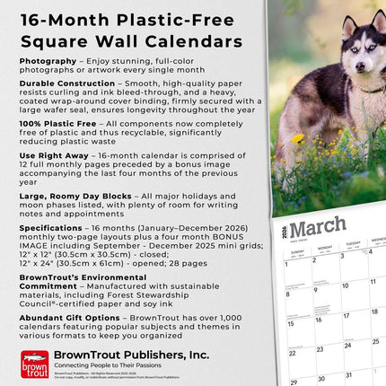Browntrout Siberian Husky Kalender 2026