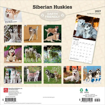 Browntrout Siberian Husky Kalender 2027