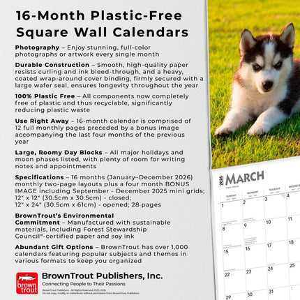 Browntrout Siberian Husky Puppies Kalender 2026