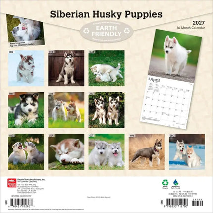 Browntrout Siberian Husky Puppies Kalender 2027