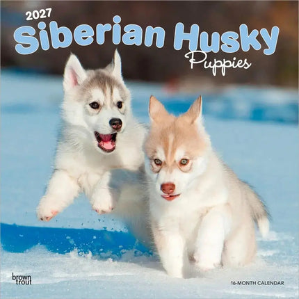 Browntrout Siberian Husky Puppies Kalender 2027