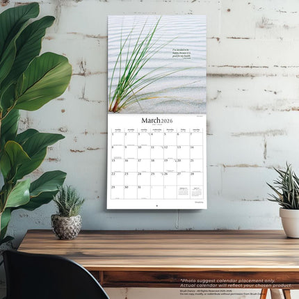 Browntrout Simplicity Kalender 2026