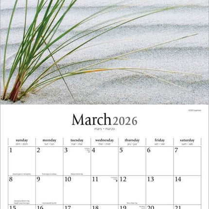 Browntrout Simplicity Kalender 2026