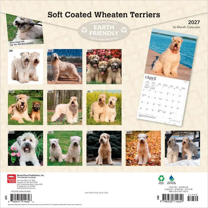 Browntrout Softcoated Wheaten Terrier Kalender 2027