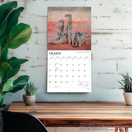 Browntrout Stokstaartjes Kalender 2027