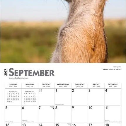 Browntrout Stokstaartjes Kalender 2027