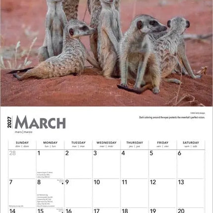 Browntrout Stokstaartjes Kalender 2027
