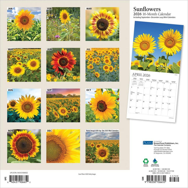 Browntrout Sunflowers Kalender 2026