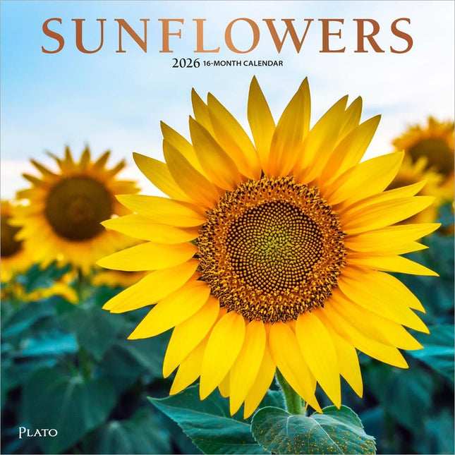 Browntrout Sunflowers Kalender 2026