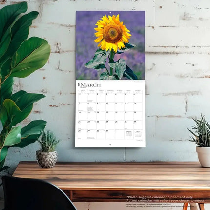 Browntrout Sunflowers Kalender 2027