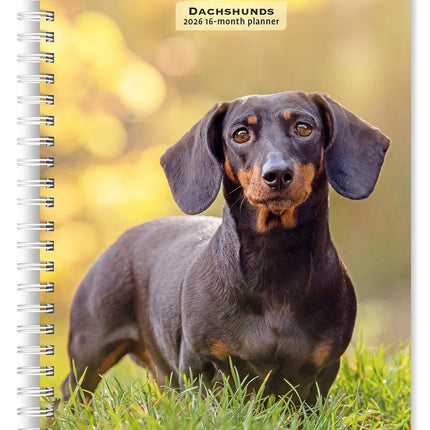 Browntrout Teckel Agenda 2026