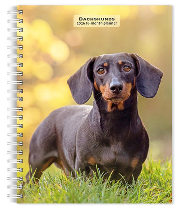 Browntrout Teckel Agenda 2026