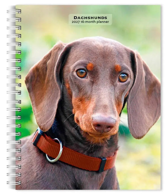 Browntrout Teckel Agenda 2027