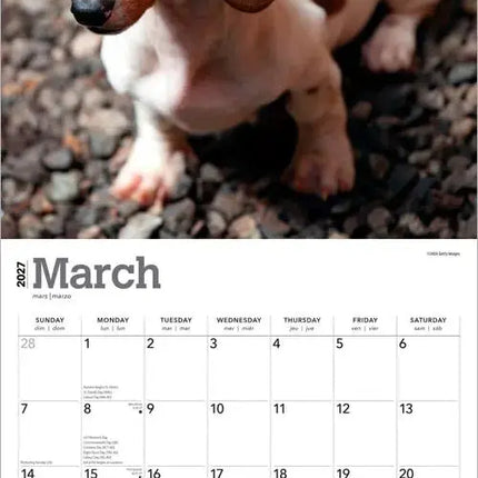 Browntrout Teckel Kalender 2027