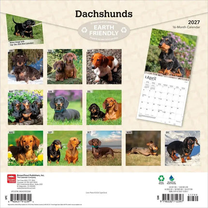 Browntrout Teckel Kalender 2027