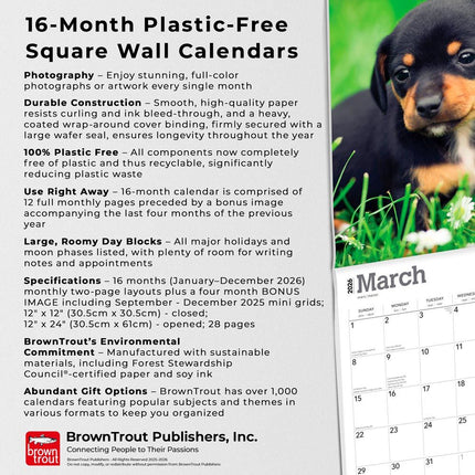 Browntrout Teckel Kalender Puppies 2027