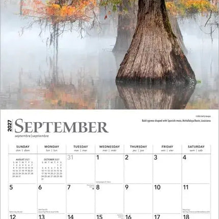 Browntrout The Majesty of Trees Kalender 2027