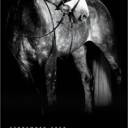 Browntrout The Noble Horse Kalender 2027