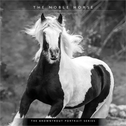 Browntrout The Noble Horse Kalender 2027