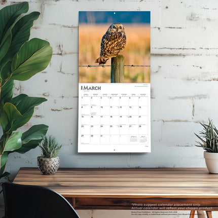 Browntrout Uilen Kalender 2026