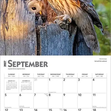 Browntrout Uilen Kalender 2027