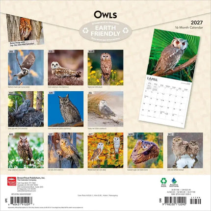 Browntrout Uilen Kalender 2027