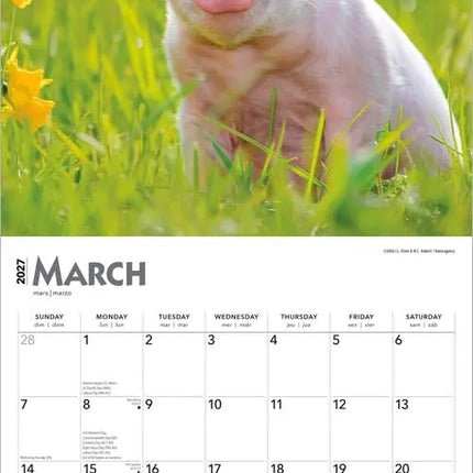 Browntrout Varken Kalender 2027