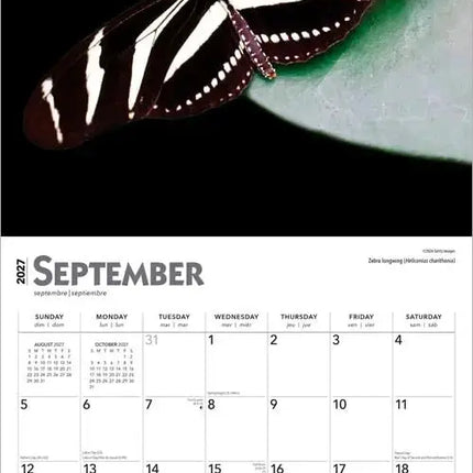 Browntrout Vlinder Kalender 2027