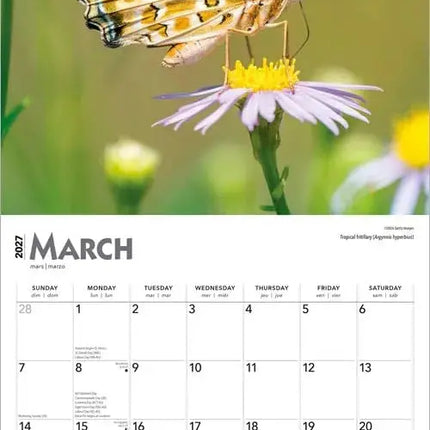Browntrout Vlinder Kalender 2027