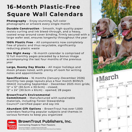 Browntrout Weimaraner Kalender 2026