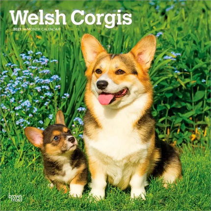 Browntrout Welsh Corgi Kalender 2027