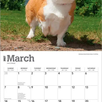 Browntrout Welsh Corgi Pembroke Kalender 2027